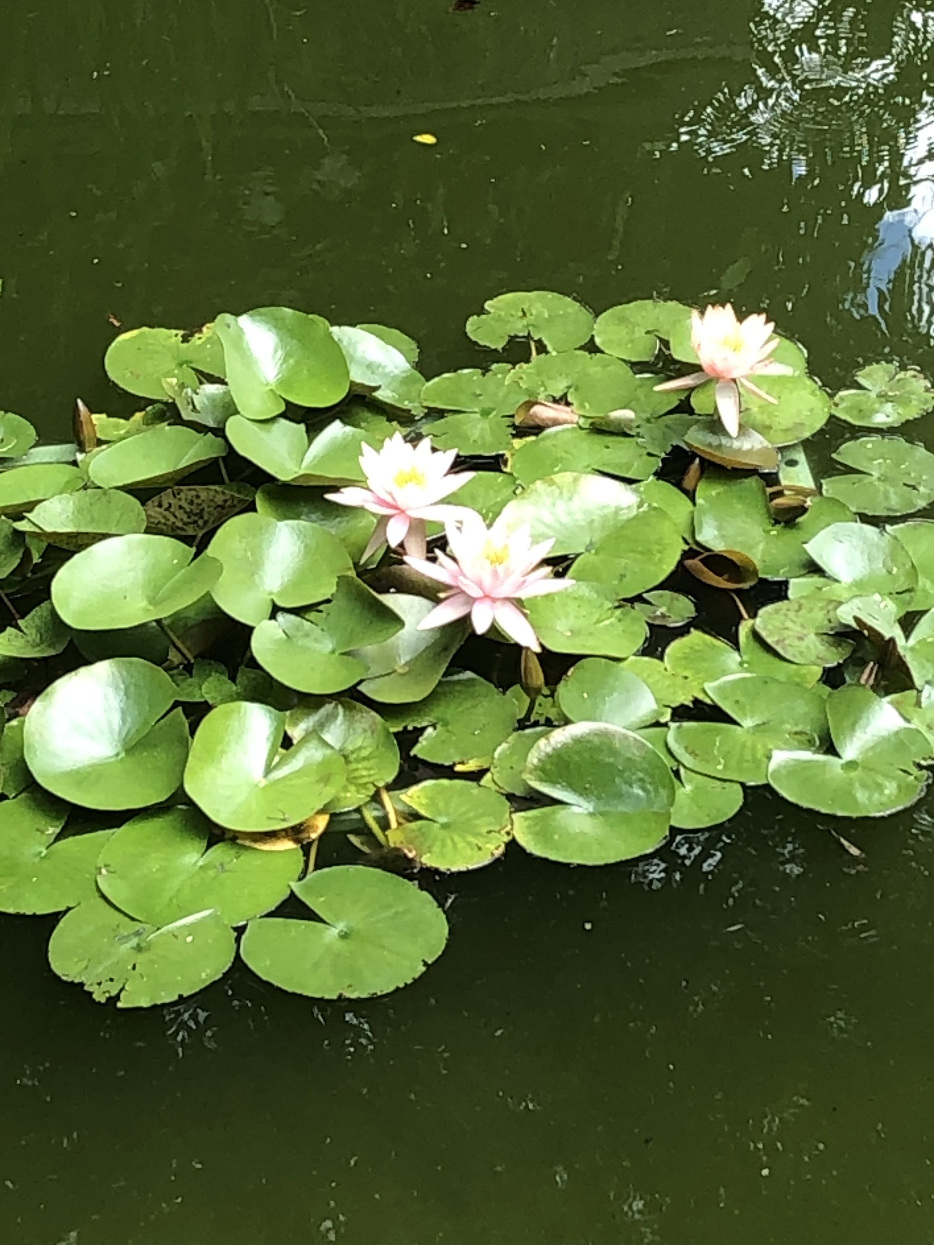 お久しぶりです