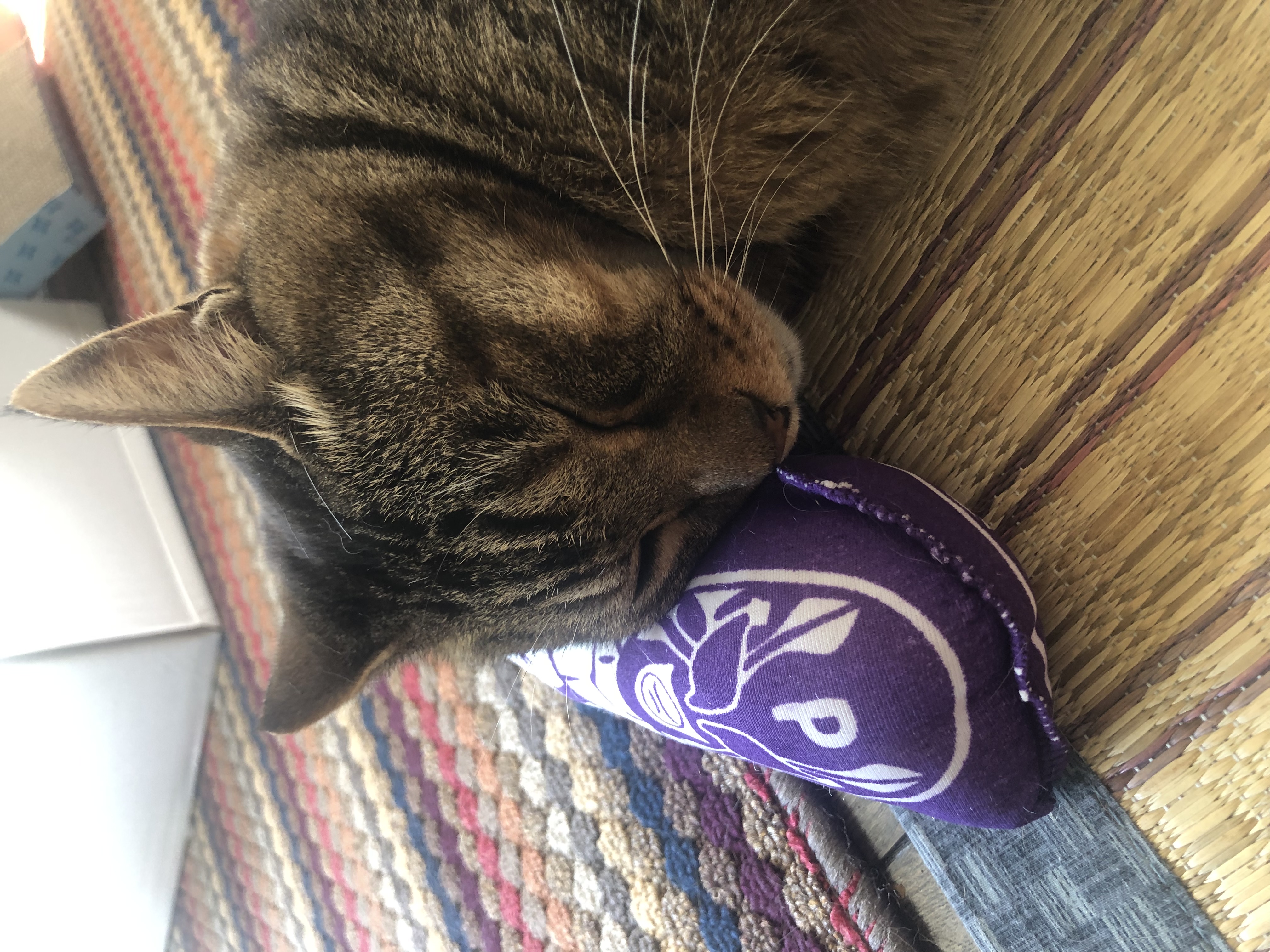 ゆっくりですが…