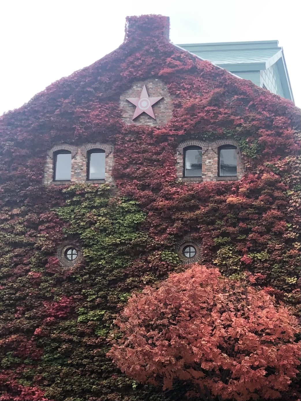 準備出来ました