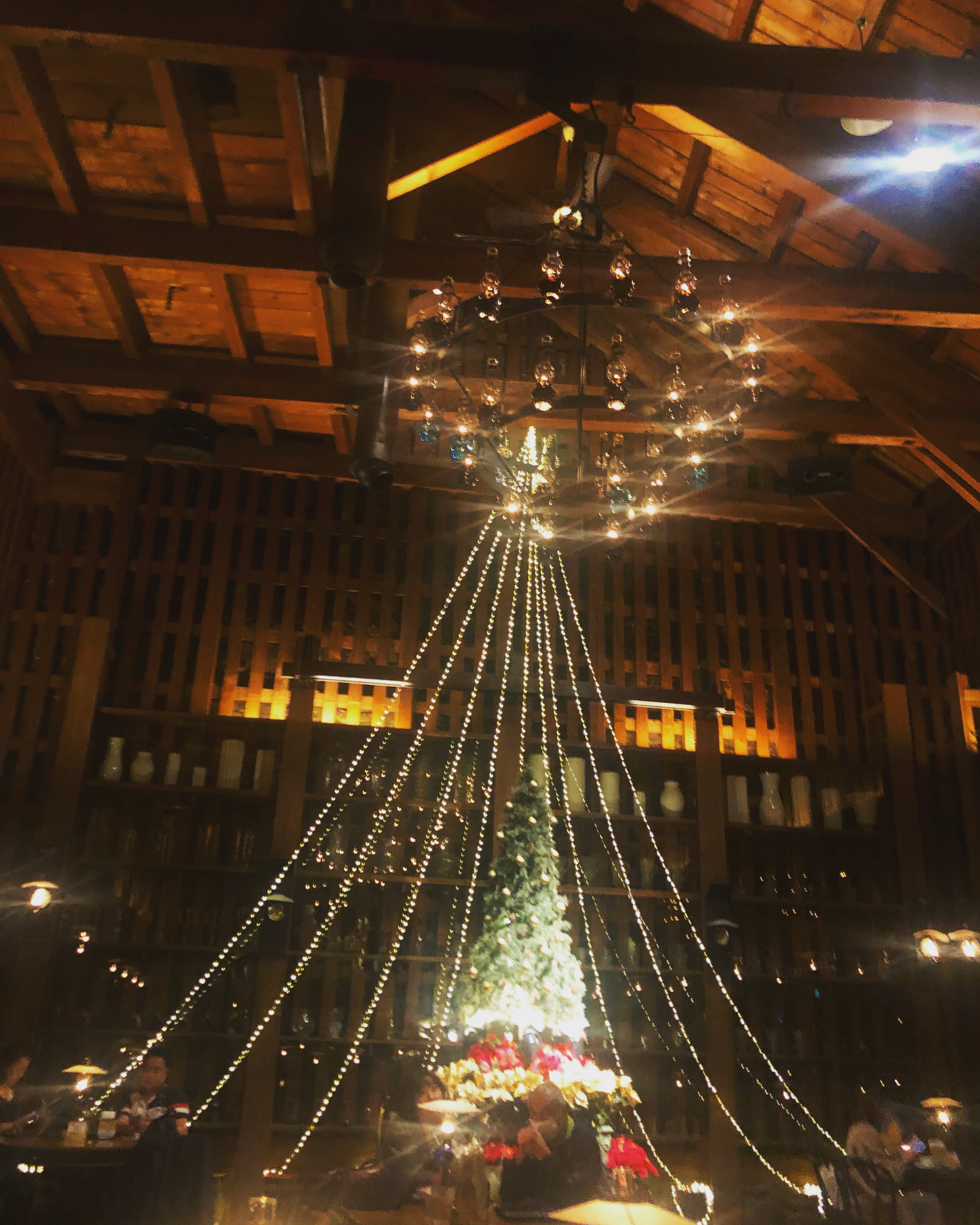 おはようございます