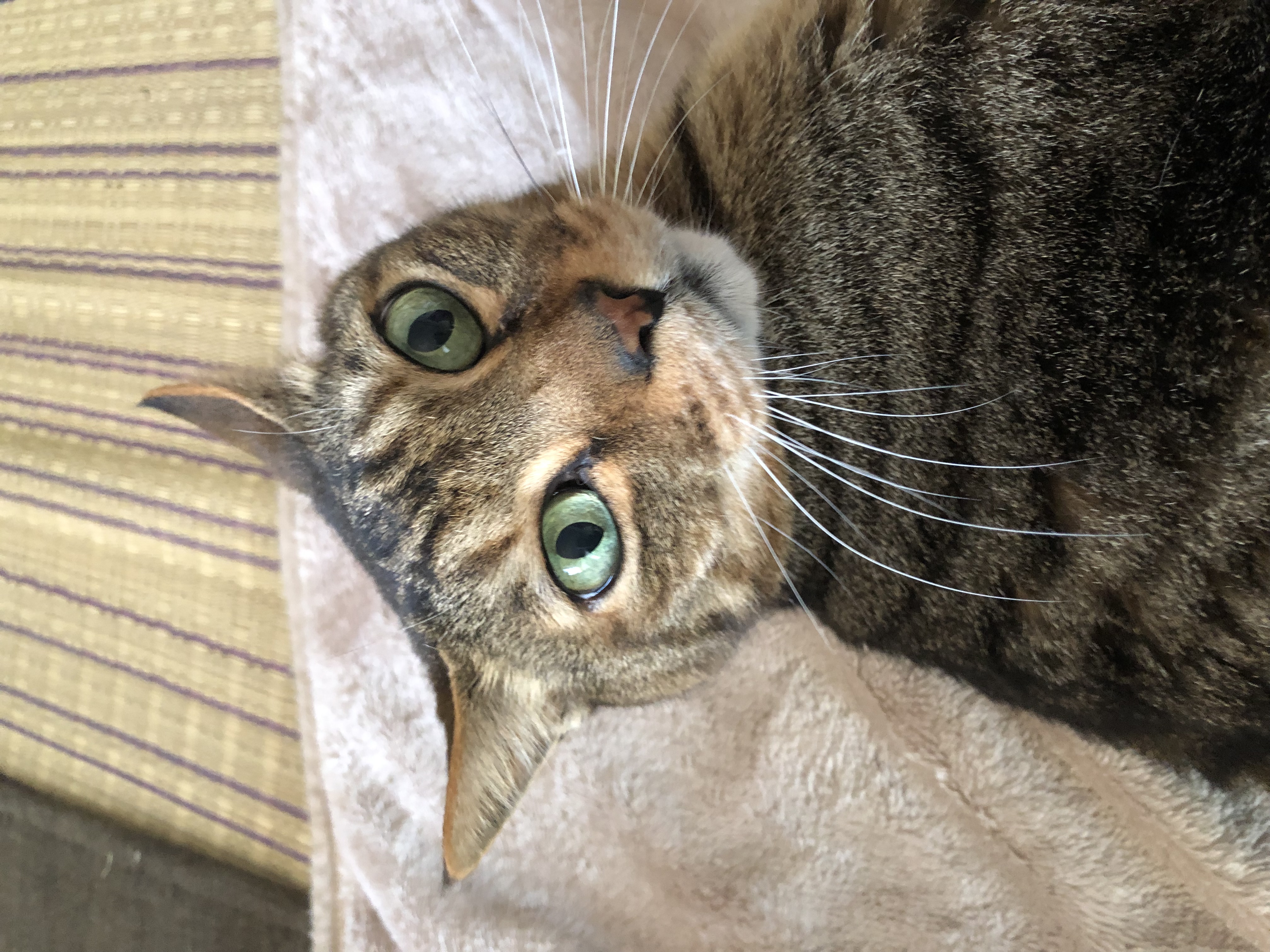 お久しぶりです