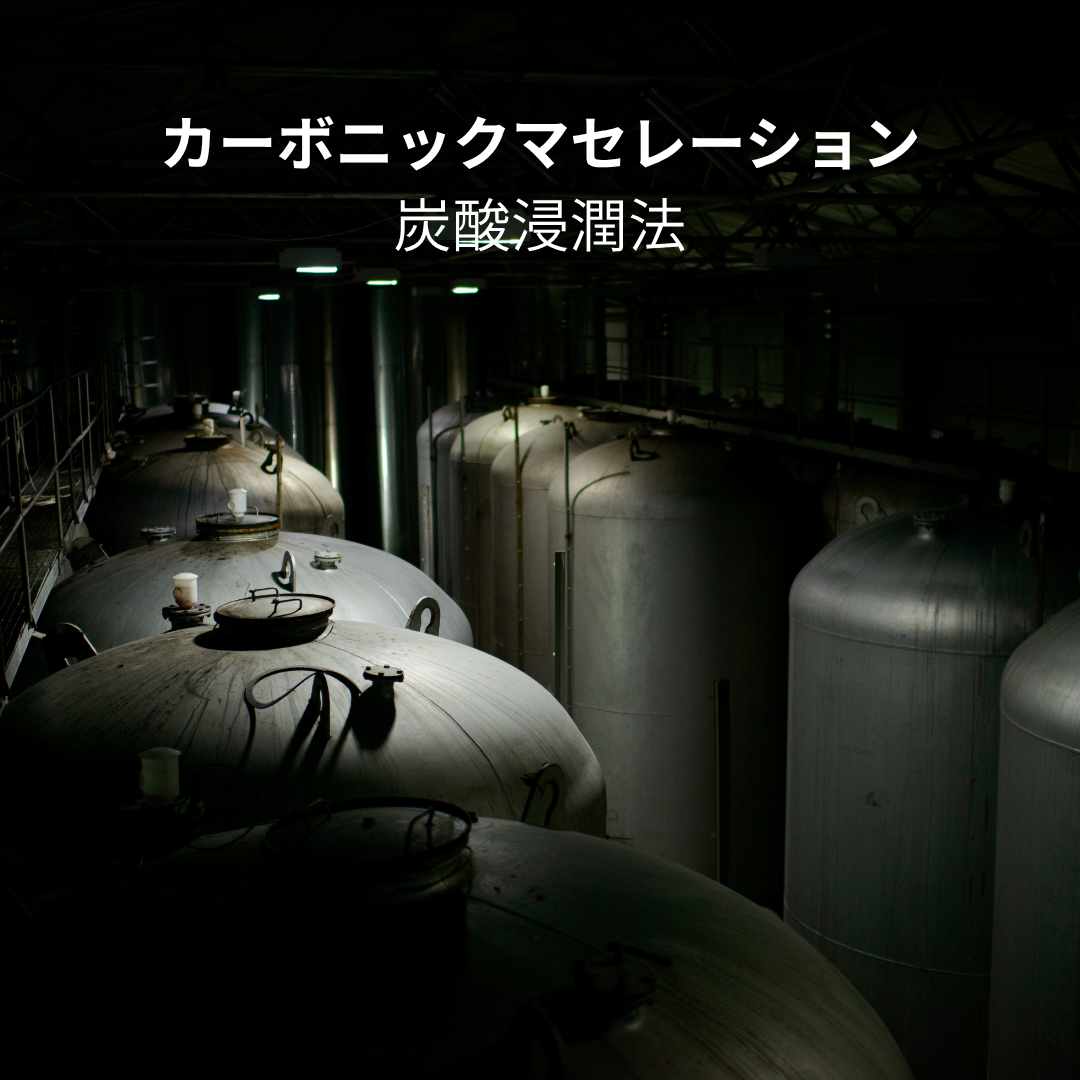 カーボニックマセレーションとは何か。そして、なぜそんなに香るのか。