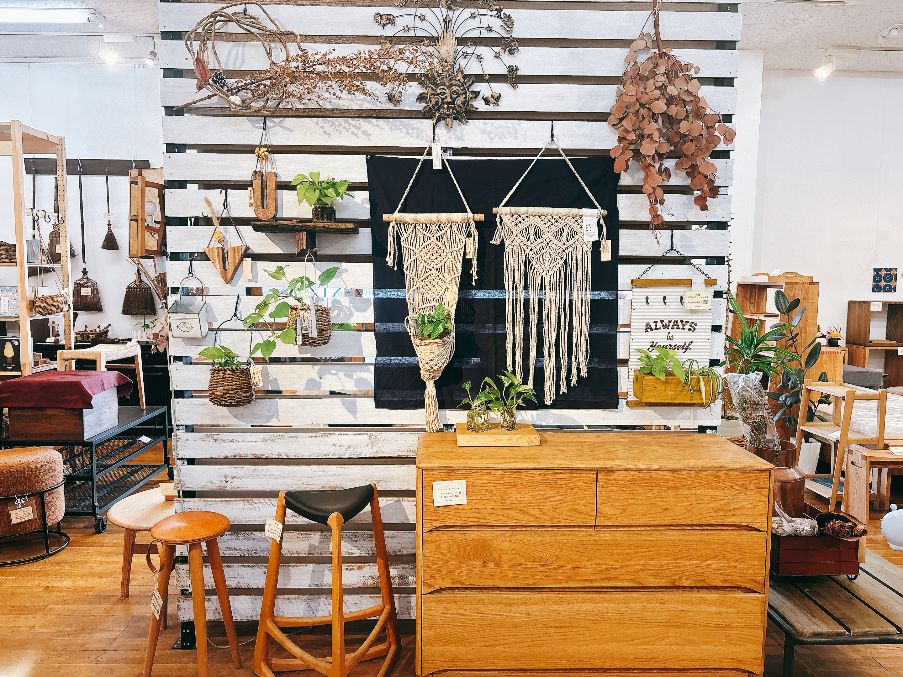 展示場に緑がいっぱい！🌱