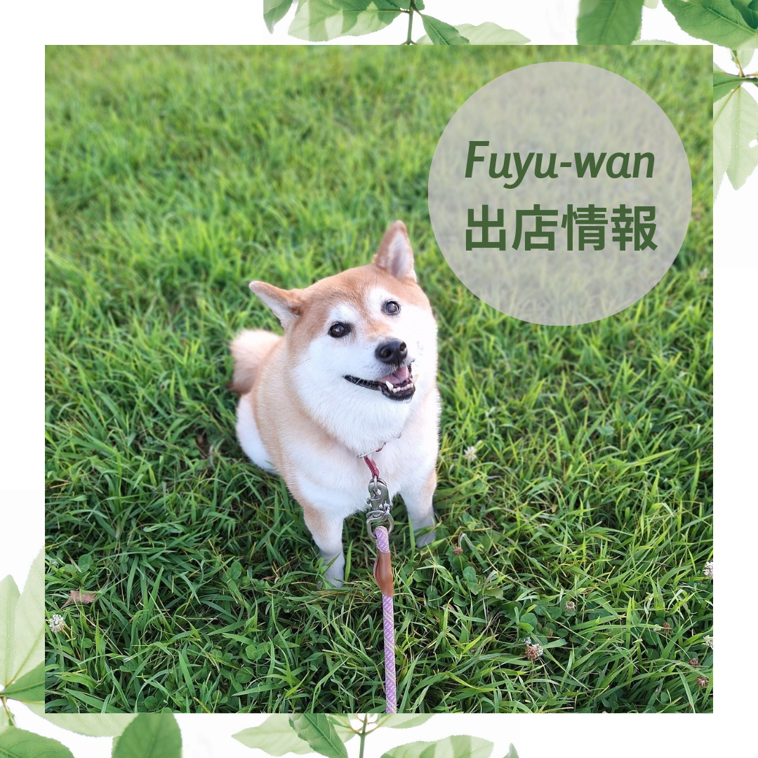 ♩出店情報♩