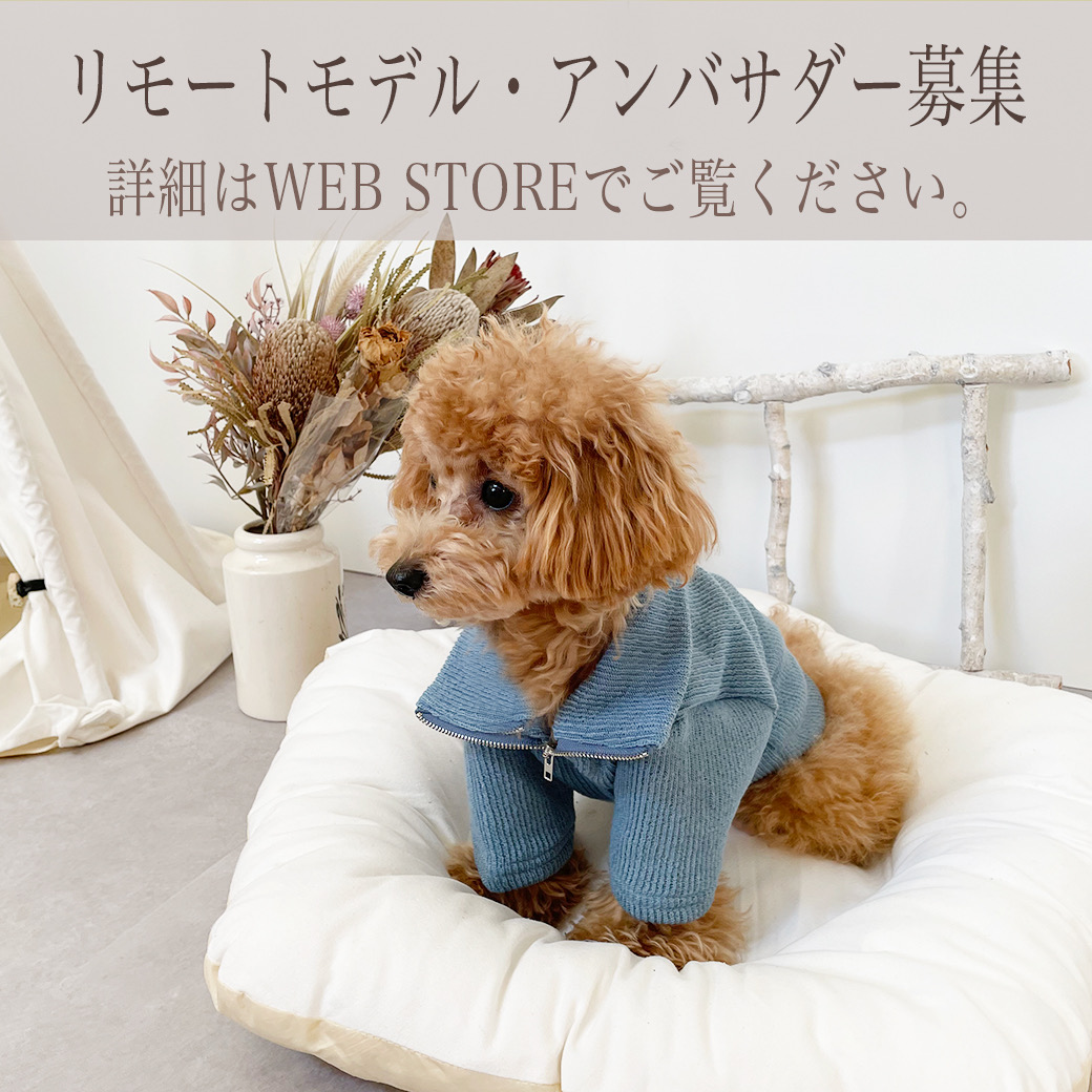リモートモデル・アンバサダー募集