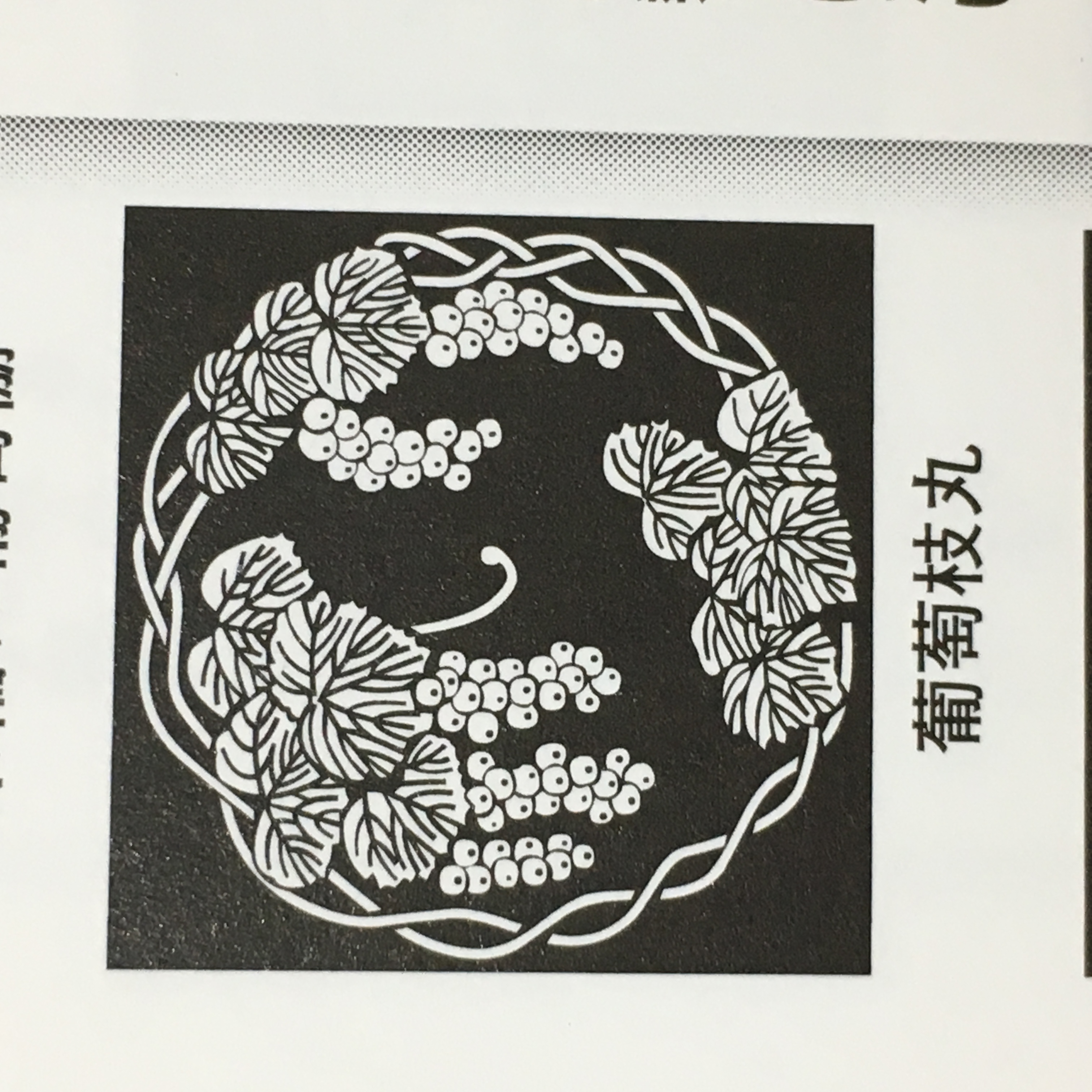 ぶどうの思い出。。