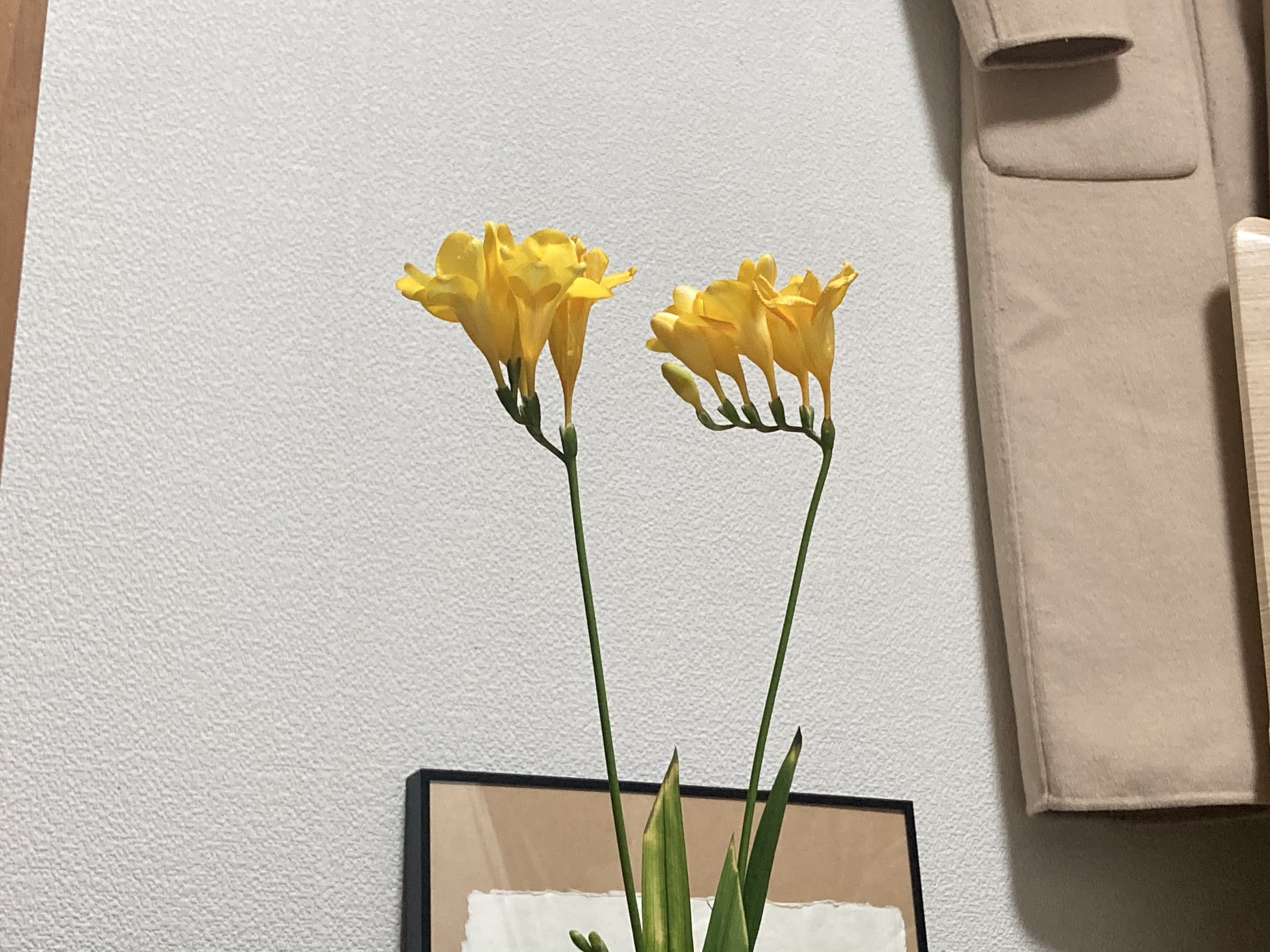 。