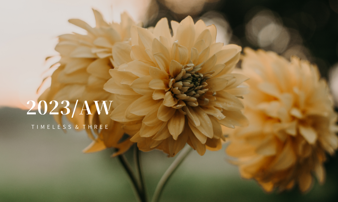 2023-2024 Autumn & Winter