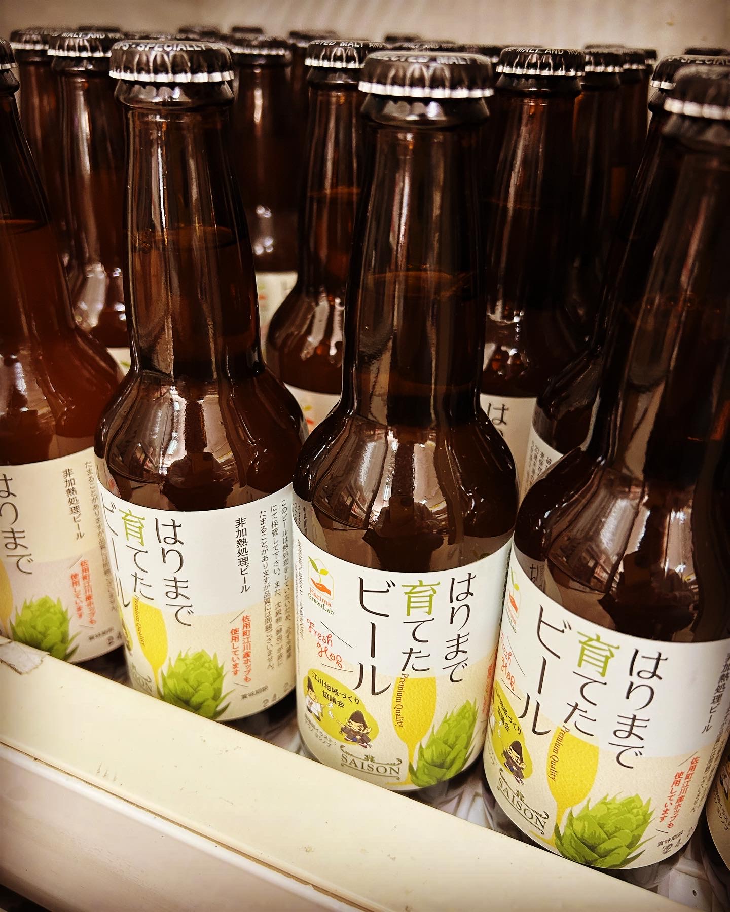 炬燵で呑みたい佐用の地ビール・・「はりまで育てたビール」