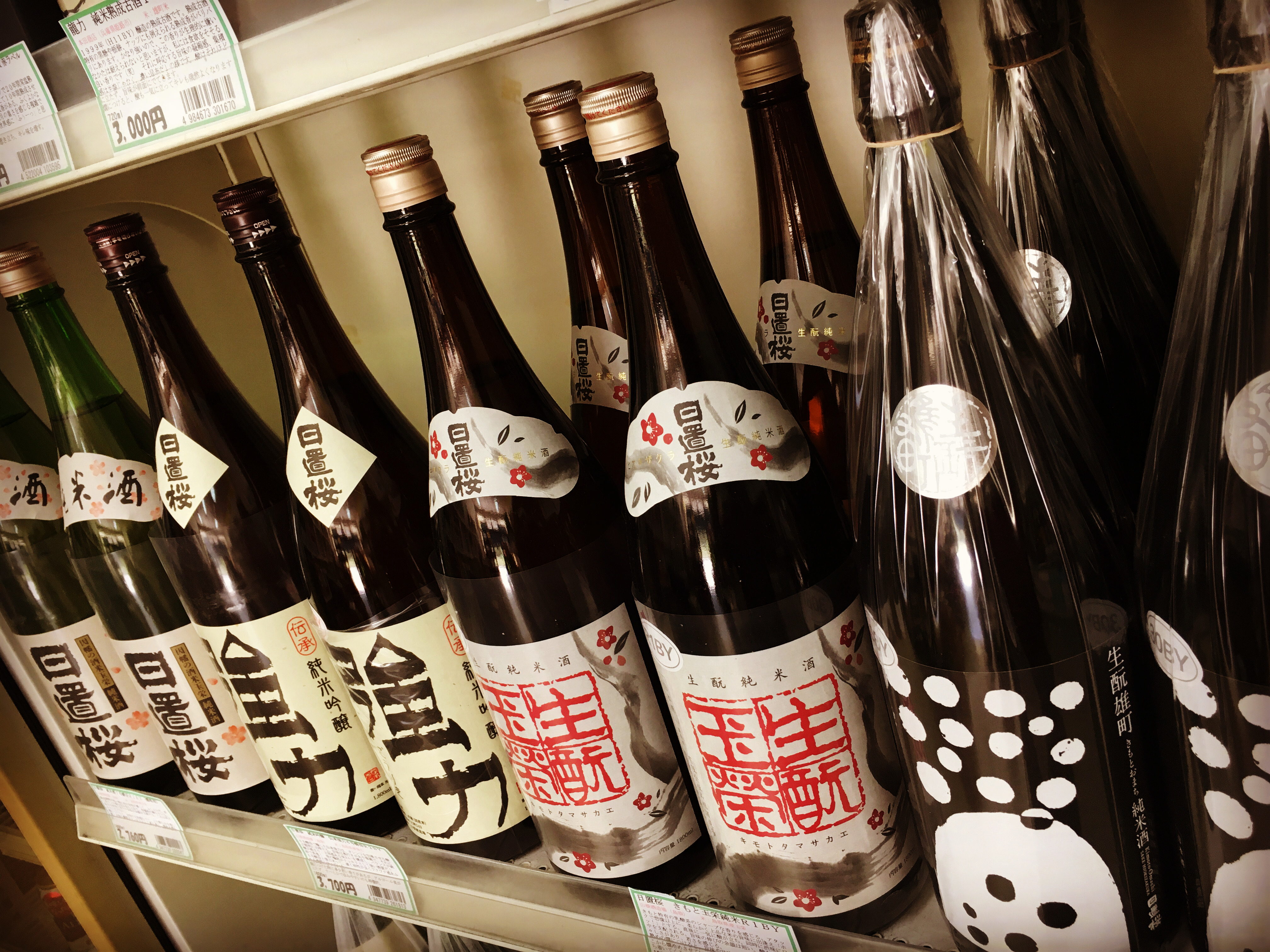 爽快で滋味深い・・「日置桜」の面々！