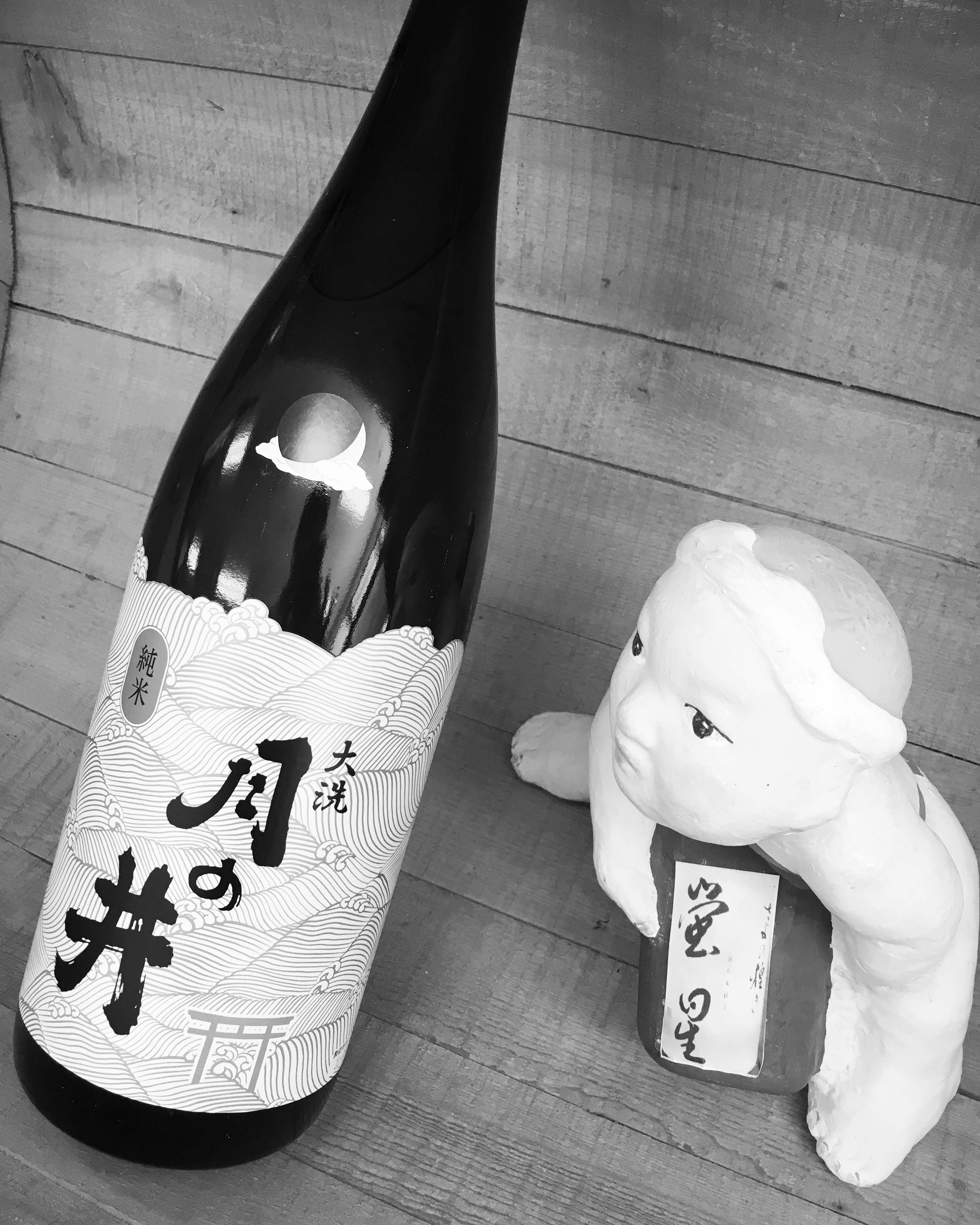 花見だ！　酒だ！・・「月の井　純米酒」