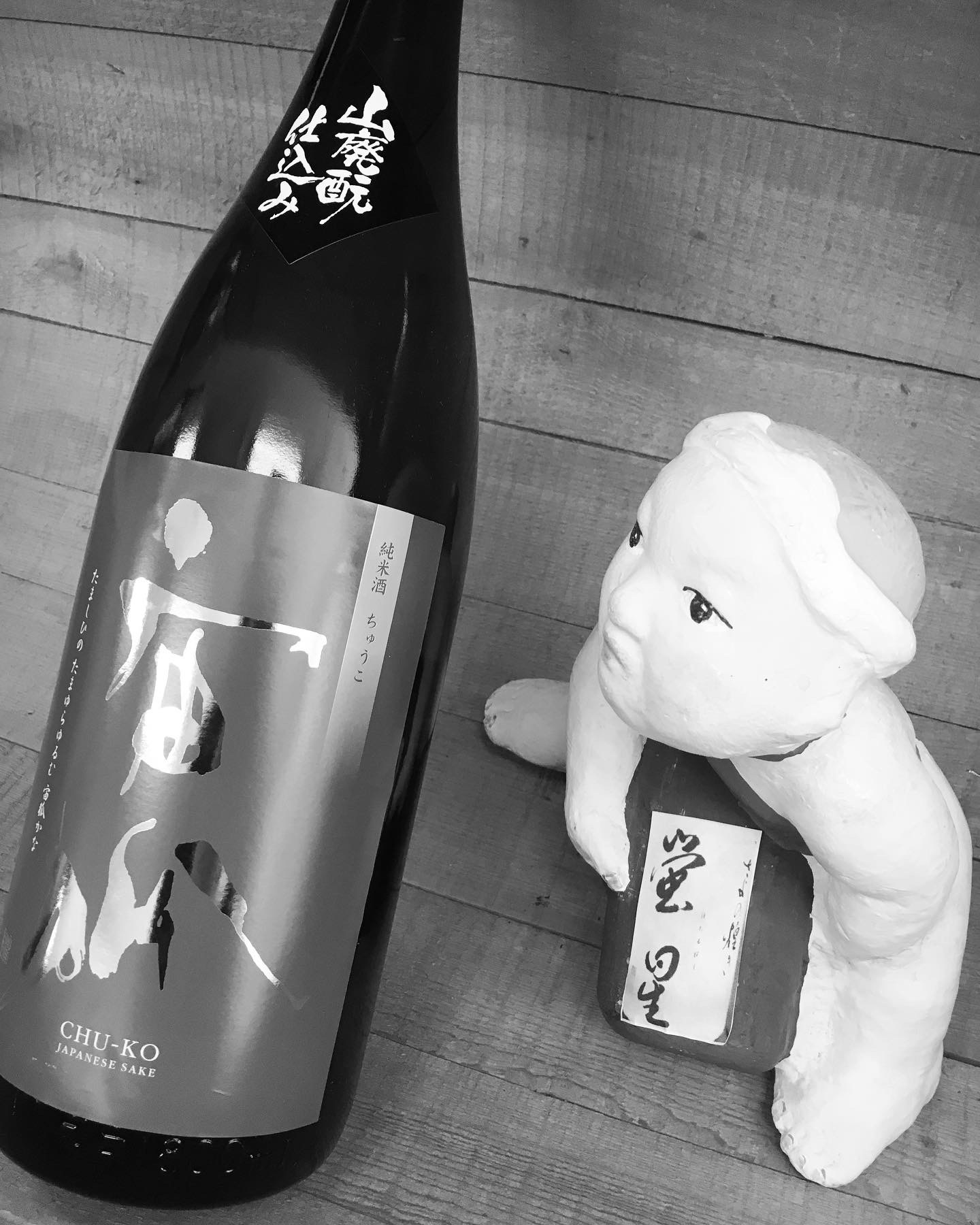 花見だ！　酒だ！・・「宙狐　山廃もと仕込み純米」