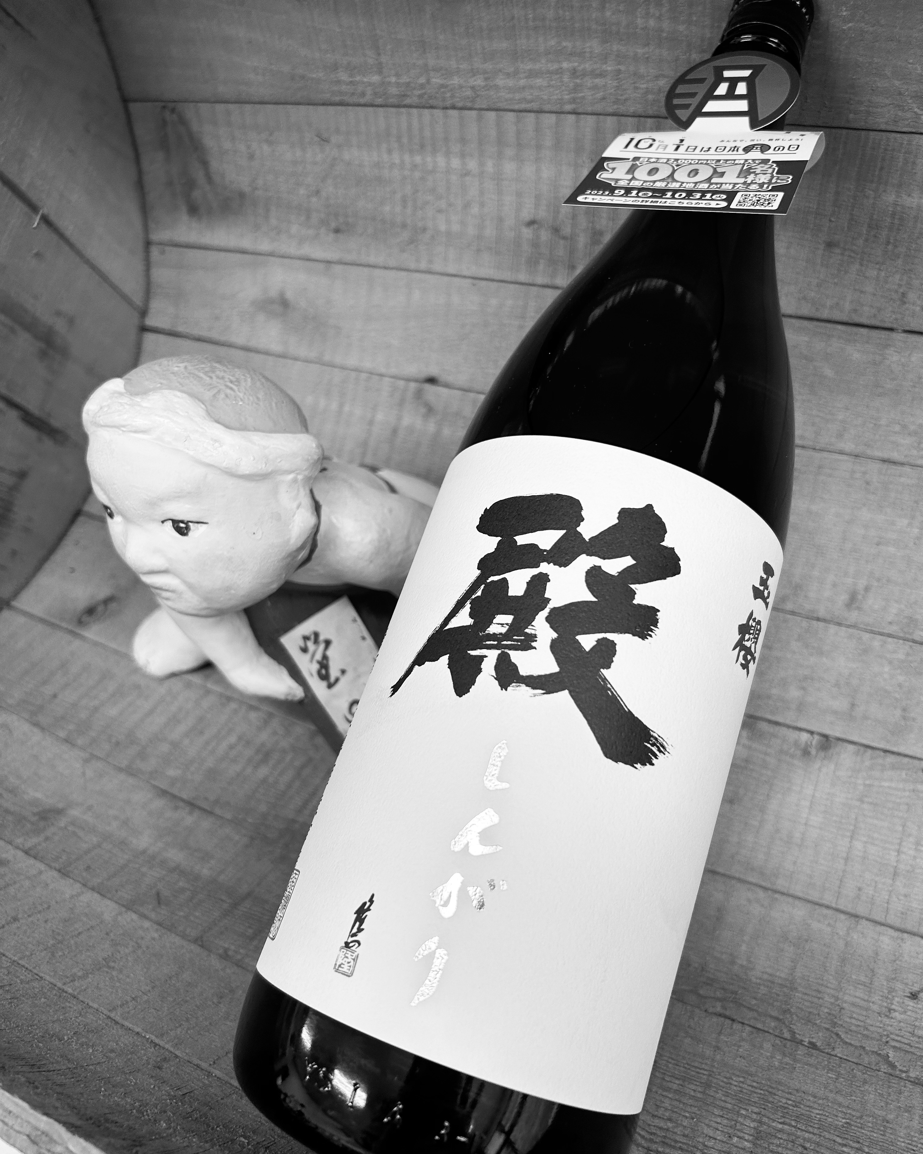 中秋の名月に純米燗・・「玉櫻　殿　五百万石純米」