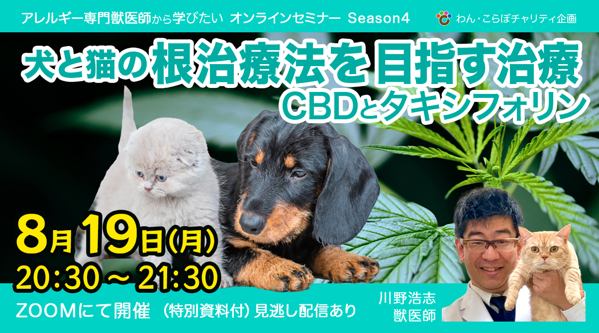 〈セミナー情報〉8/19! 話題の「CBDとタキシフォリン」アレルギー専門獣医師に聞いてみよう