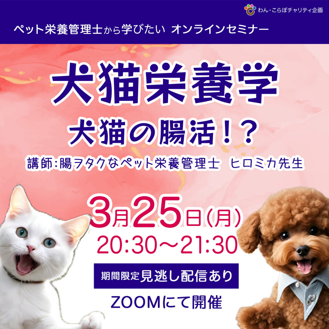 〈セミナー情報〉3月25日　犬猫栄養学　ペット栄養管理士ヒロミカ先生「犬猫の腸活」について