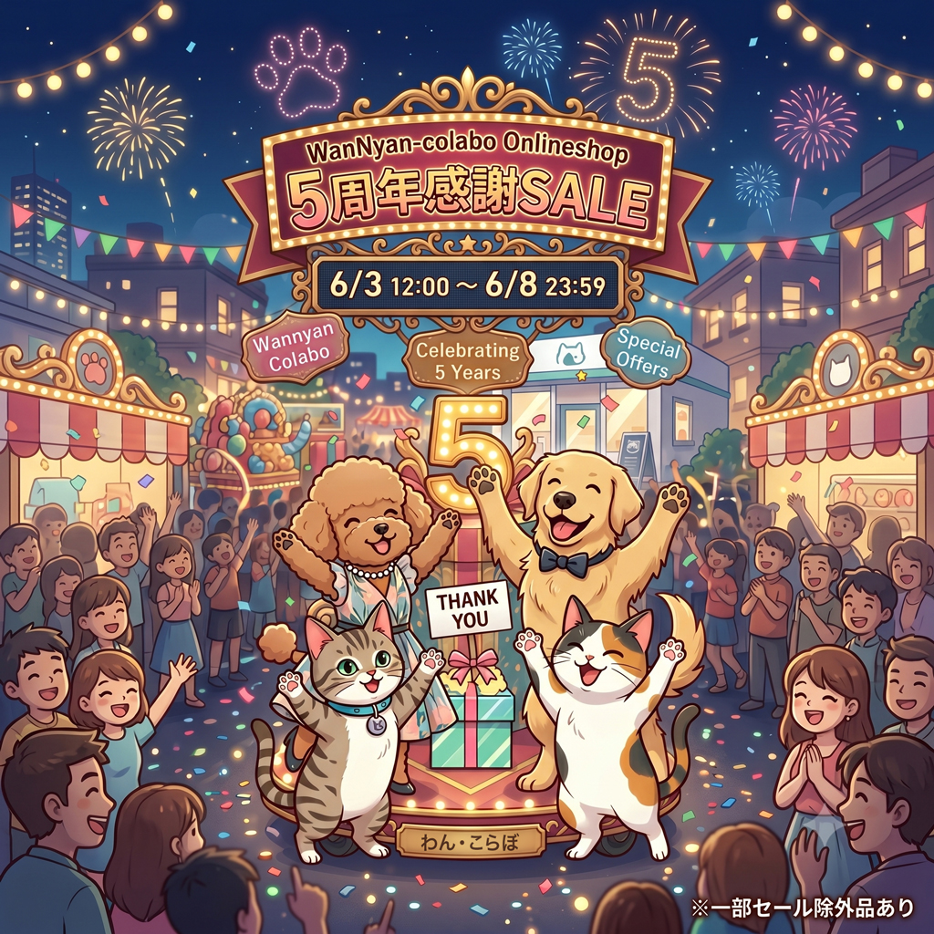 ⭐️5周年感謝SALE開催♪