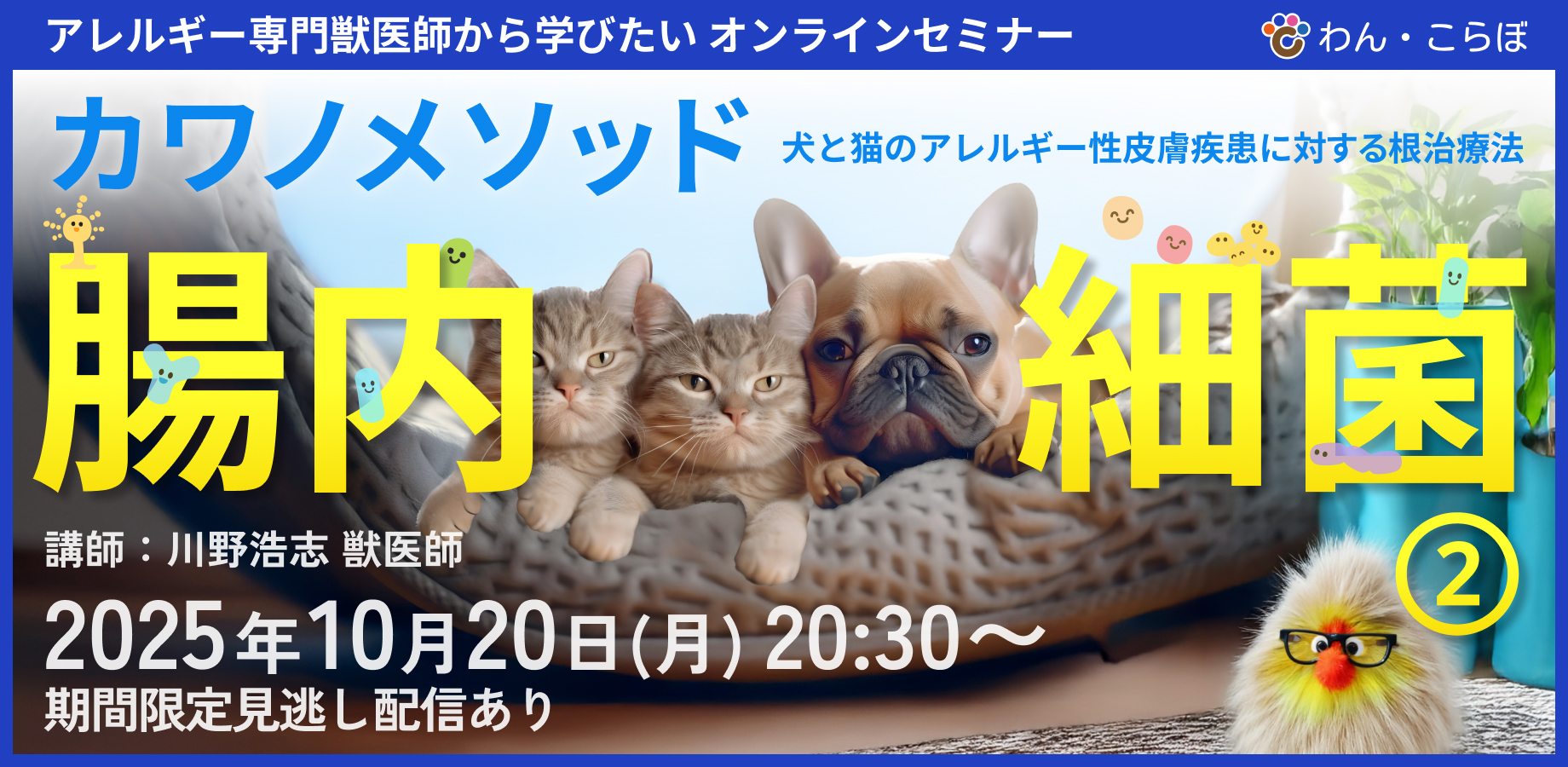 【犬猫の腸内細菌2】効率よく腸内整える方法　痒みや炎症ある子もぜひチェック！！