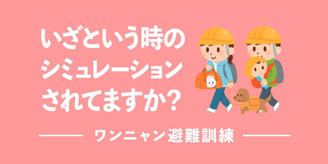 ワンニャン避難訓練