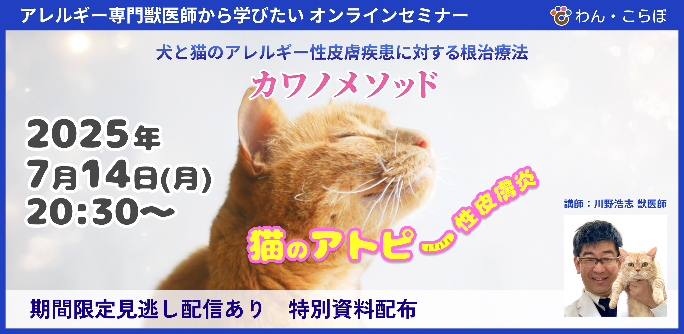 〈セミナー〉猫さま特別編　猫のアトピー性皮膚炎