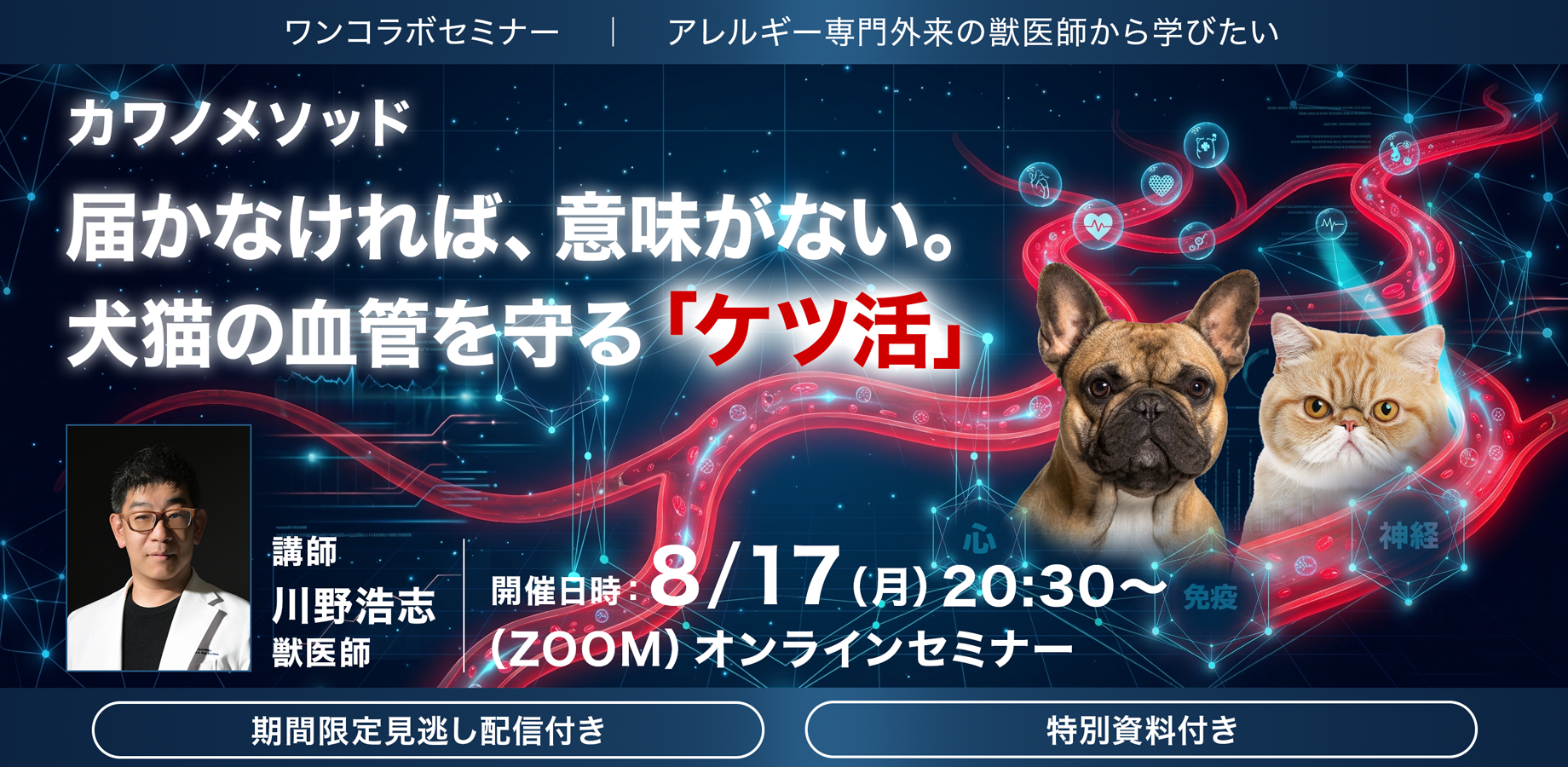 届かなければ意味がない!犬猫の血管を守る!!カワノメソッド 8月17日(オンラインセミナー)