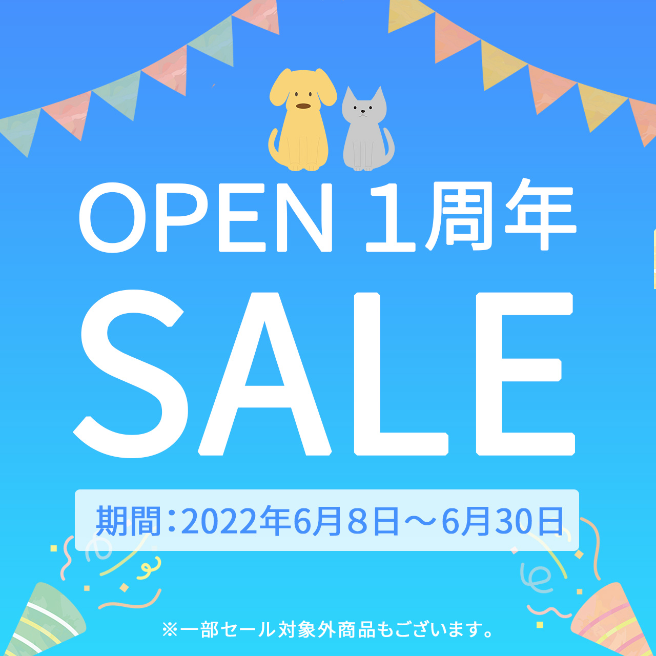 （=^ェ^=）OPEN１周年SALEを開催中 U^ェ^U