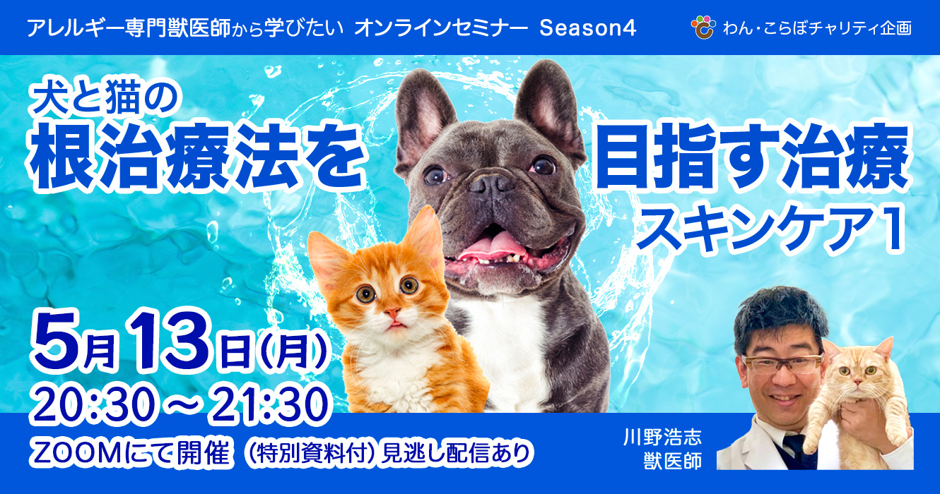 〈セミナー情報〉5月13日(月)犬猫もスキンケア！！　さて家での皮膚・被毛のケアはどうされてますか？