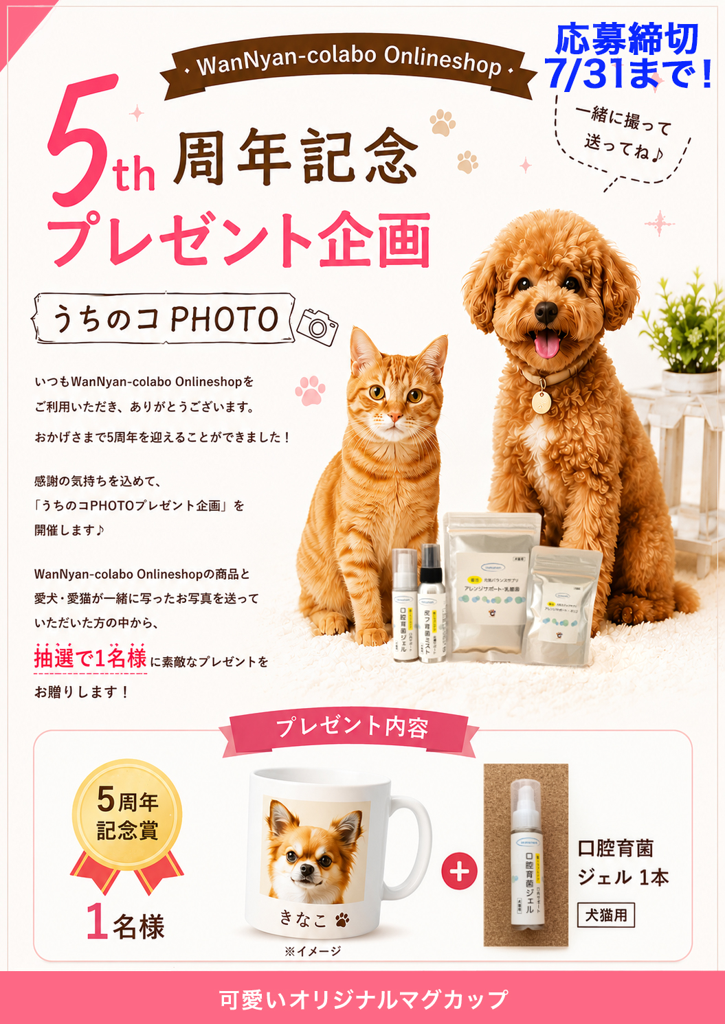 🎉 5周年記念プレゼント企画 🎉　（2026年7月31日まで！変更しました）