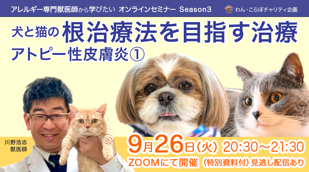 早割22日まで〈セミナー情報〉9月26日　アレルギー専門獣医師から学びたい（アトピー性皮膚炎１）