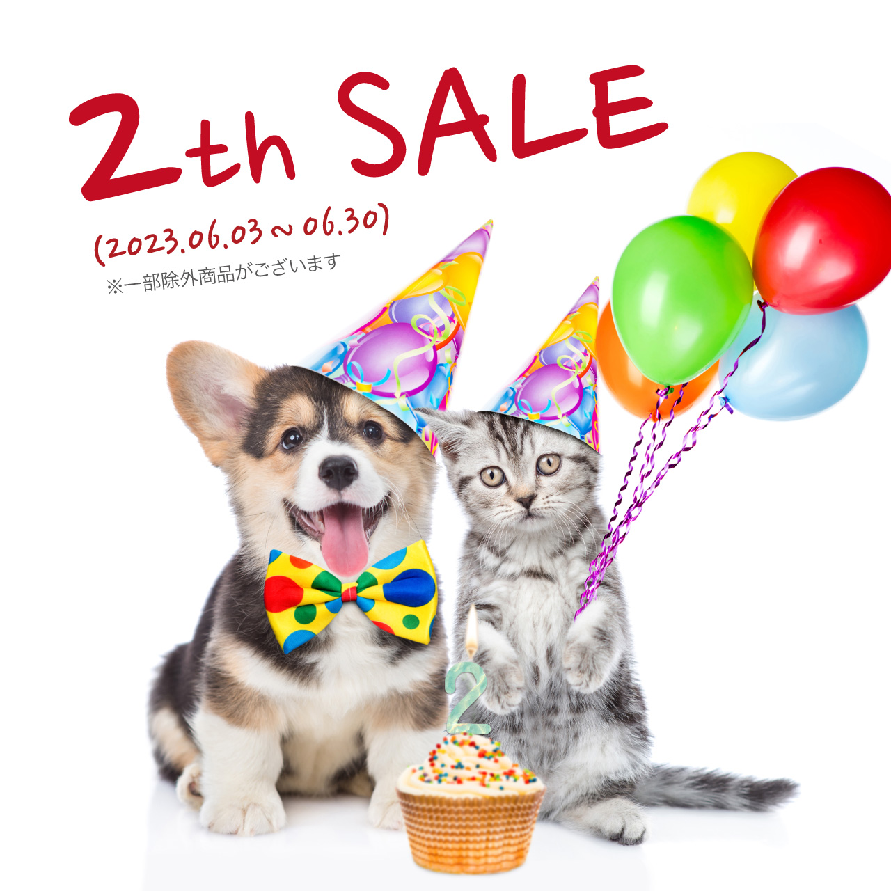 ２周年SALE開催中 U^ェ^U（=^ェ^=）