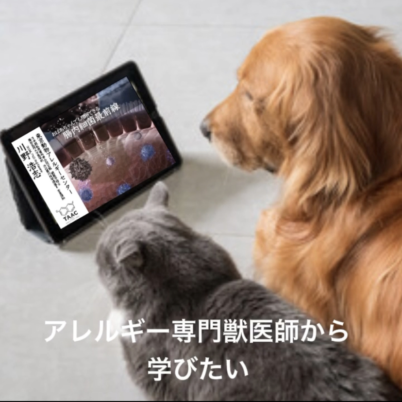 チャリティオンラインセミナー　アレルギー専門獣医師から学びたい／腸管内では何が起こっているのか？