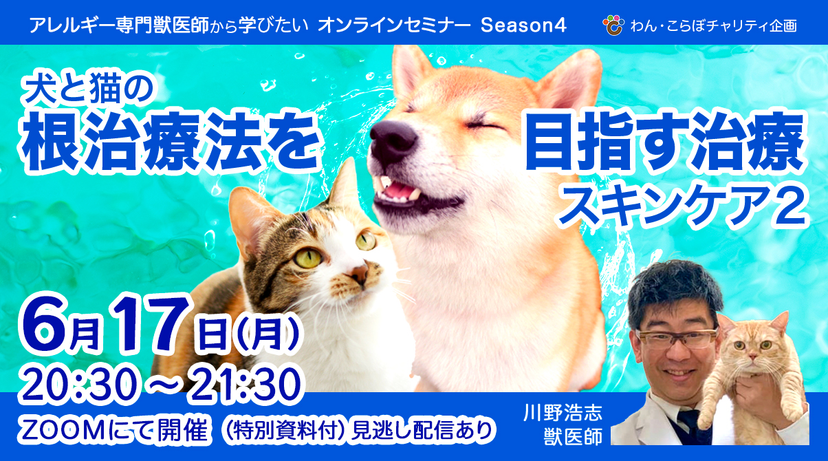 〈セミナー情報〉早割間もなく締切！！ワンニャン肌トラブルを解消！6月17日(月)開催
