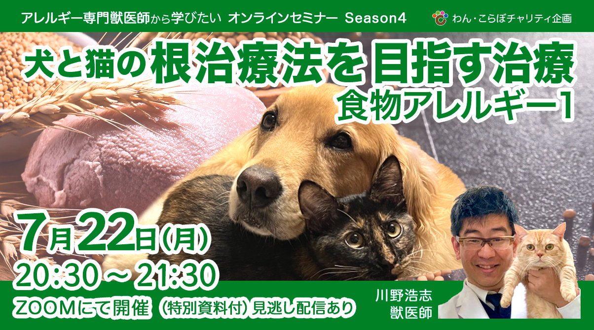 〈セミナー情報〉早割7/19締切！！犬猫の食物アレルギー１回目の川野獣医師のセミナー！7/22開催
