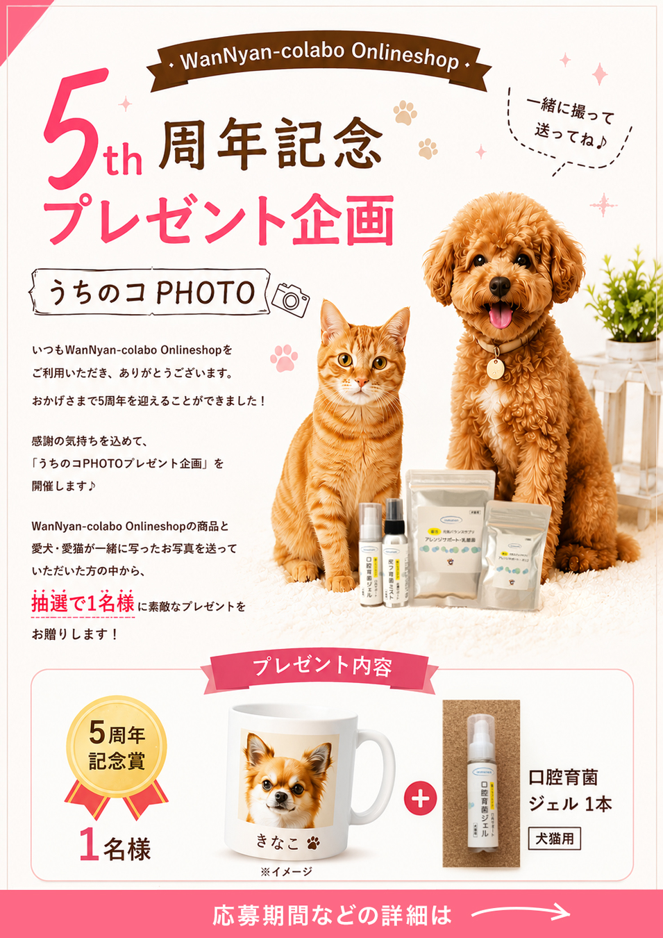 🎉 5周年記念プレゼント企画 🎉 (2026年7月10日まで)
