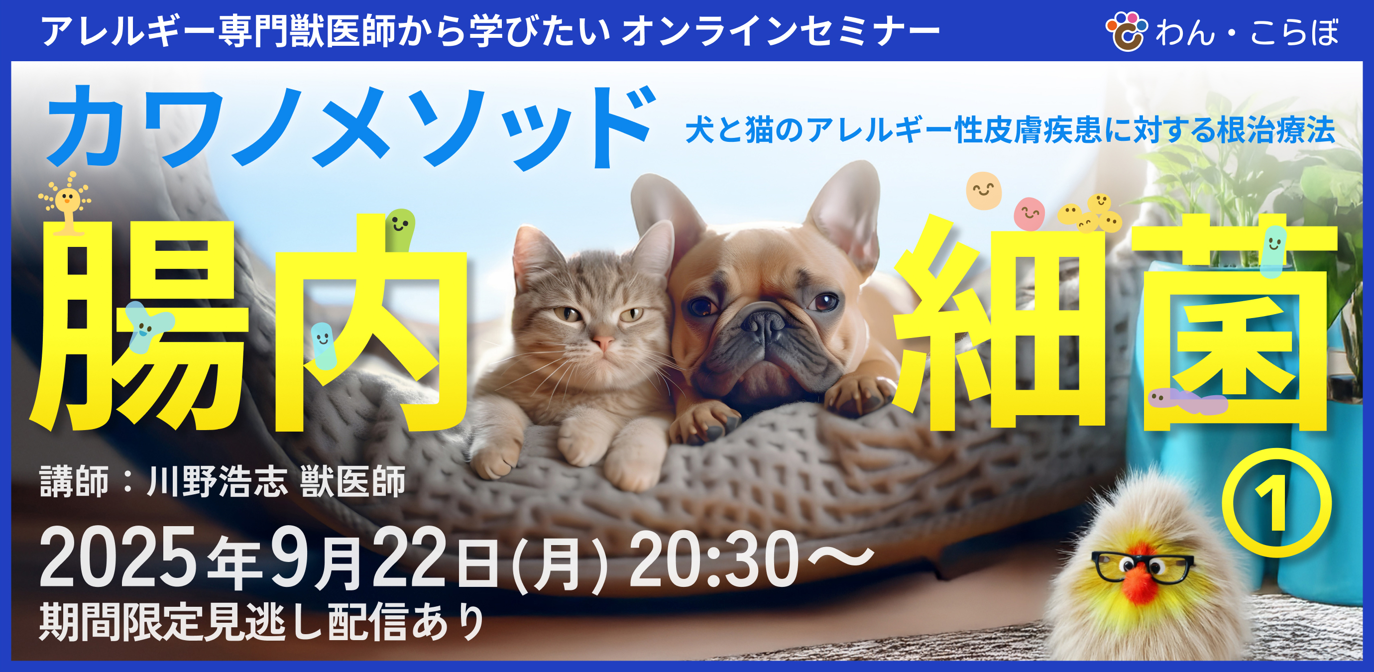 【犬猫の腸内細菌】皮膚トラブルを根本から考えるオンラインセミナー