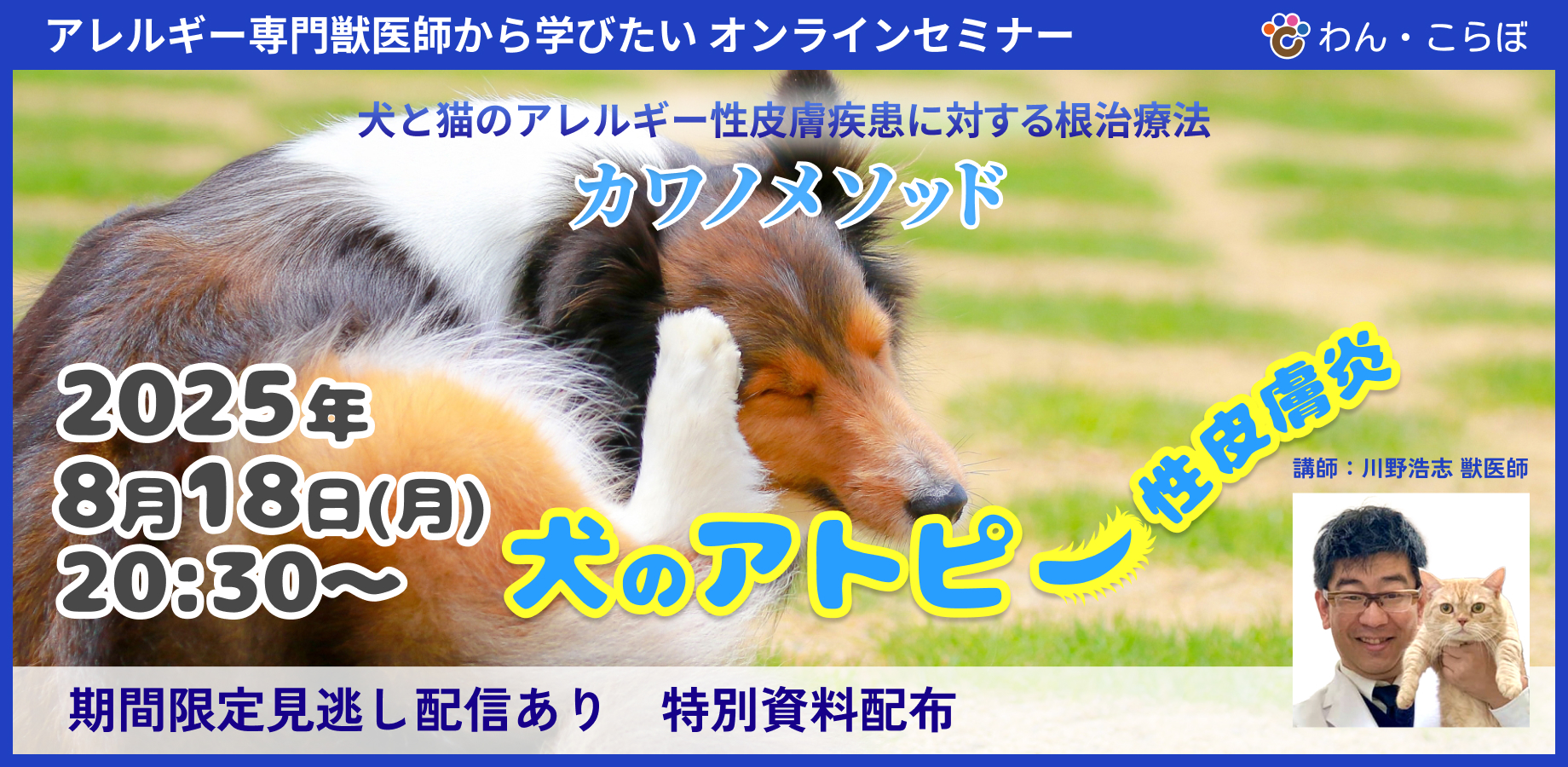 〈セミナー〉犬のアトピー性皮膚炎で悩んでいませんか？【オンラインセミナー開催のお知らせ】