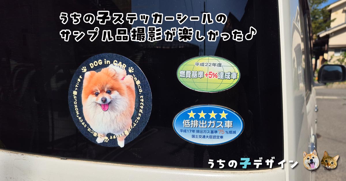 うちの子ステッカーシールの撮影が楽しかった♪