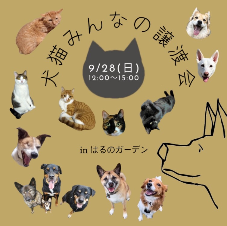 9/28、犬猫みんなの譲渡会に出店します♪︎