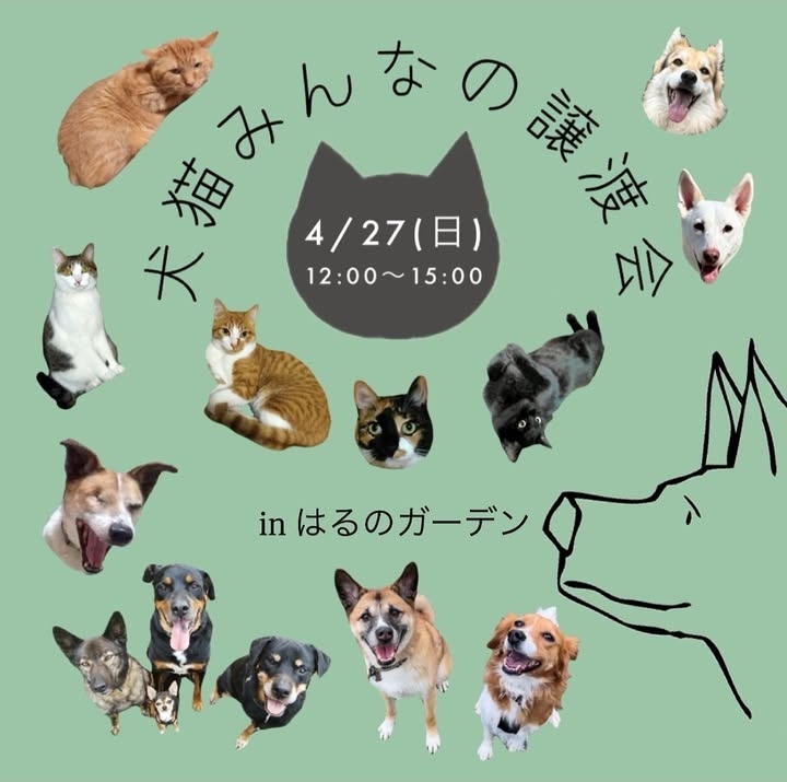 4/27は犬猫みんなの譲渡会に出店します♡