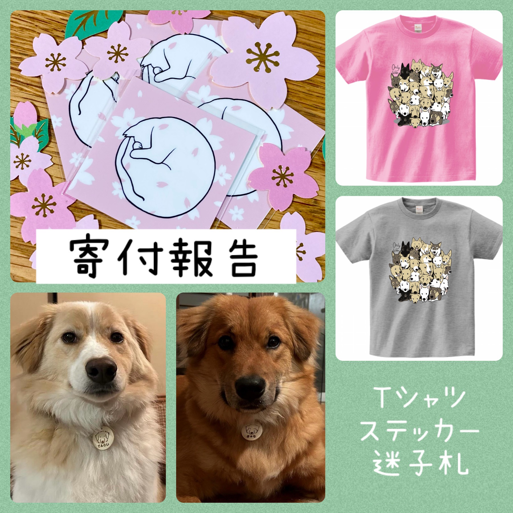 3月・4月寄付報告