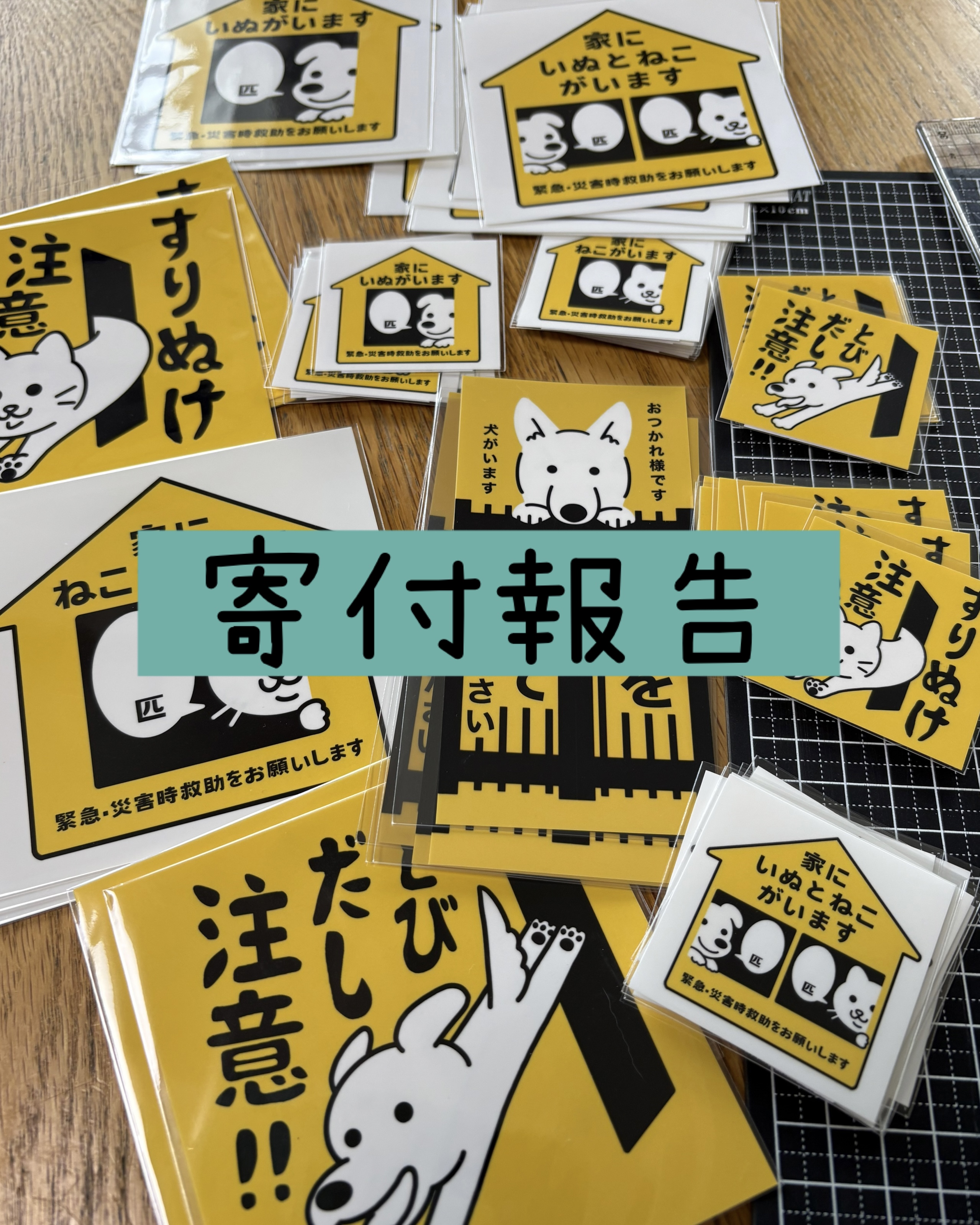 ４月〜6月寄付報告