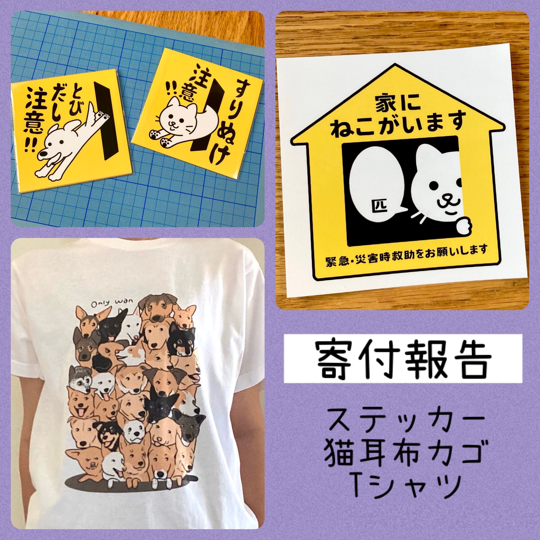 8月寄付報告