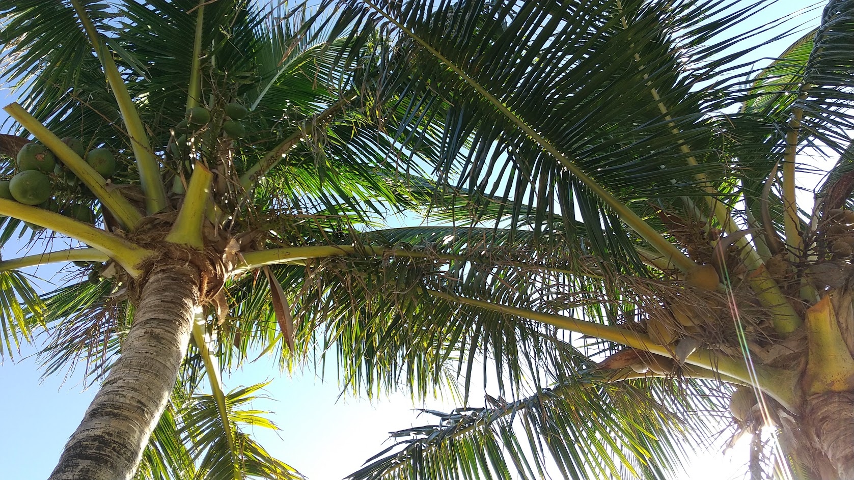 真っ赤っ赤の他人からのスタート