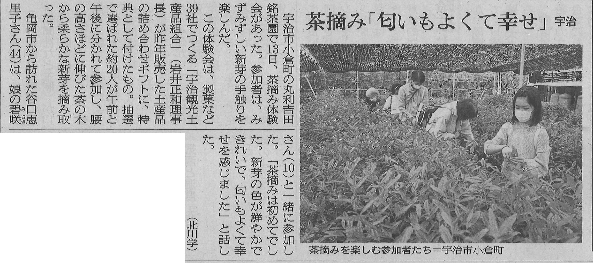 5月14日 朝日新聞にて、宇治観光土産品組合ギフト購入特典の茶摘み体験の様子が掲載