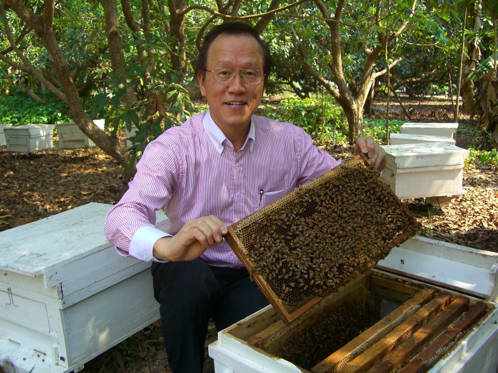 防護服はいらない⁉15年前のForabeeが見せた”信じられない養蜂風景”