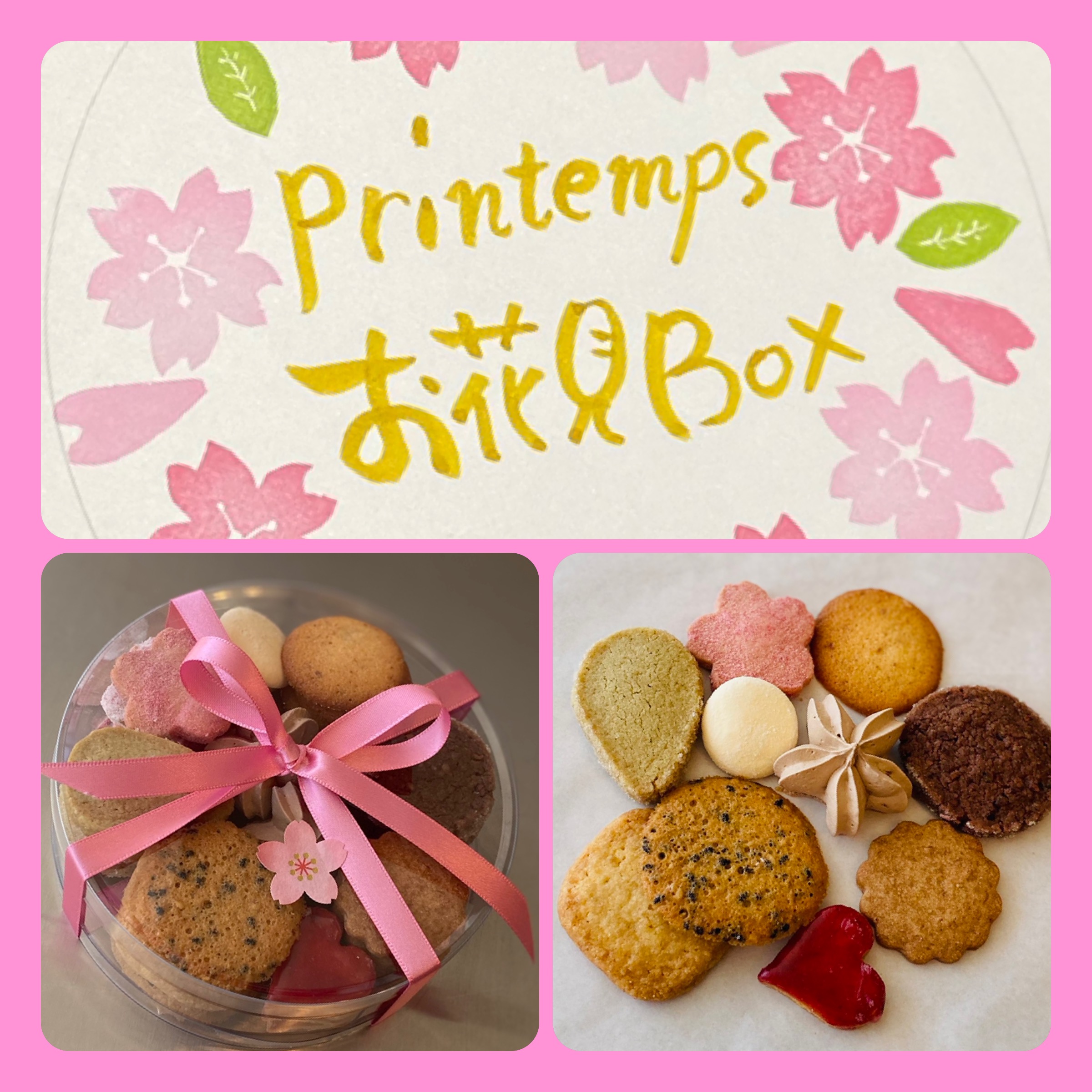 【プランタンお花見BOX】