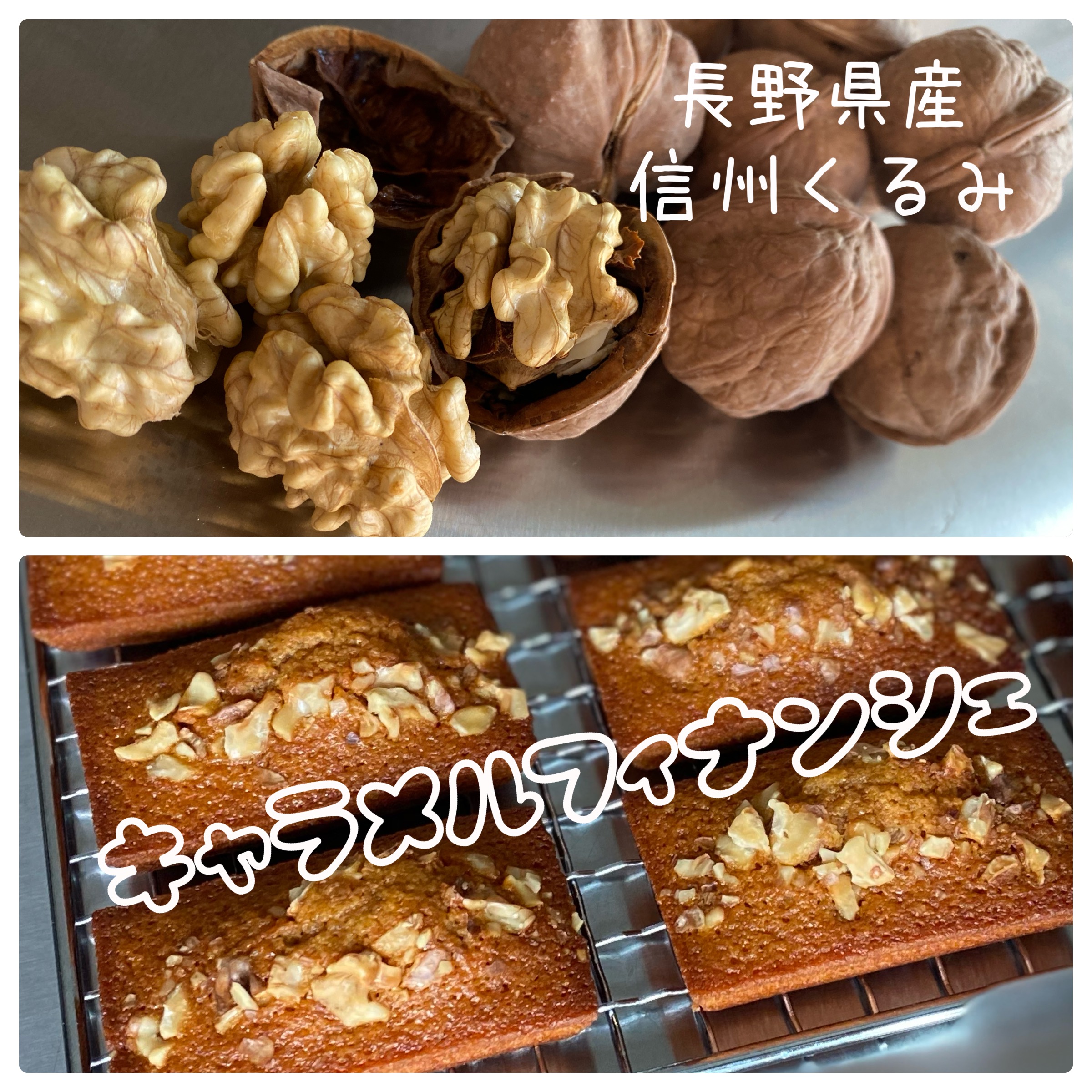 【キャラメルフィナンシェ】信州くるみ