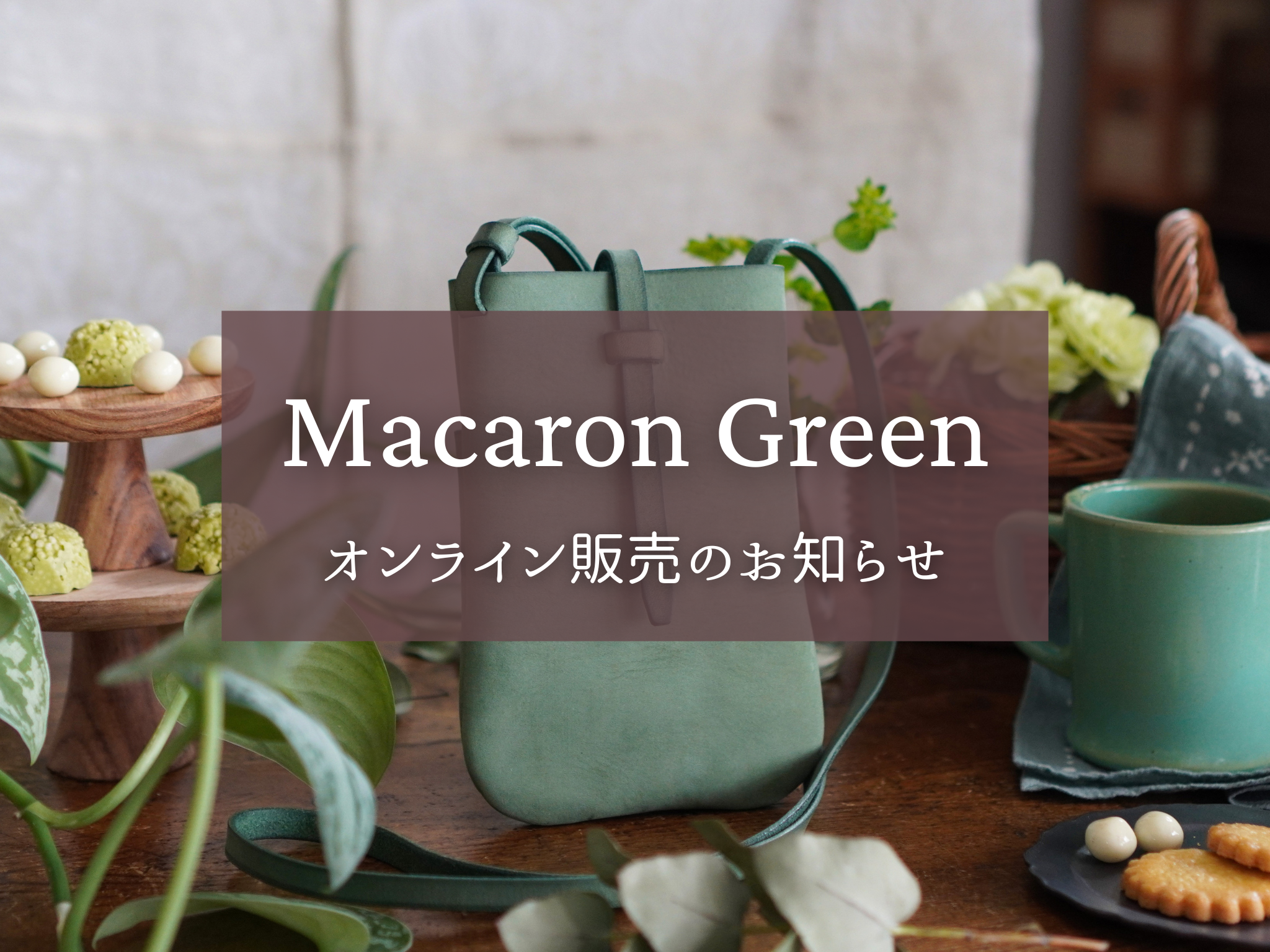 【Macaron Green】オンライン販売・点数制限解除のお知らせ