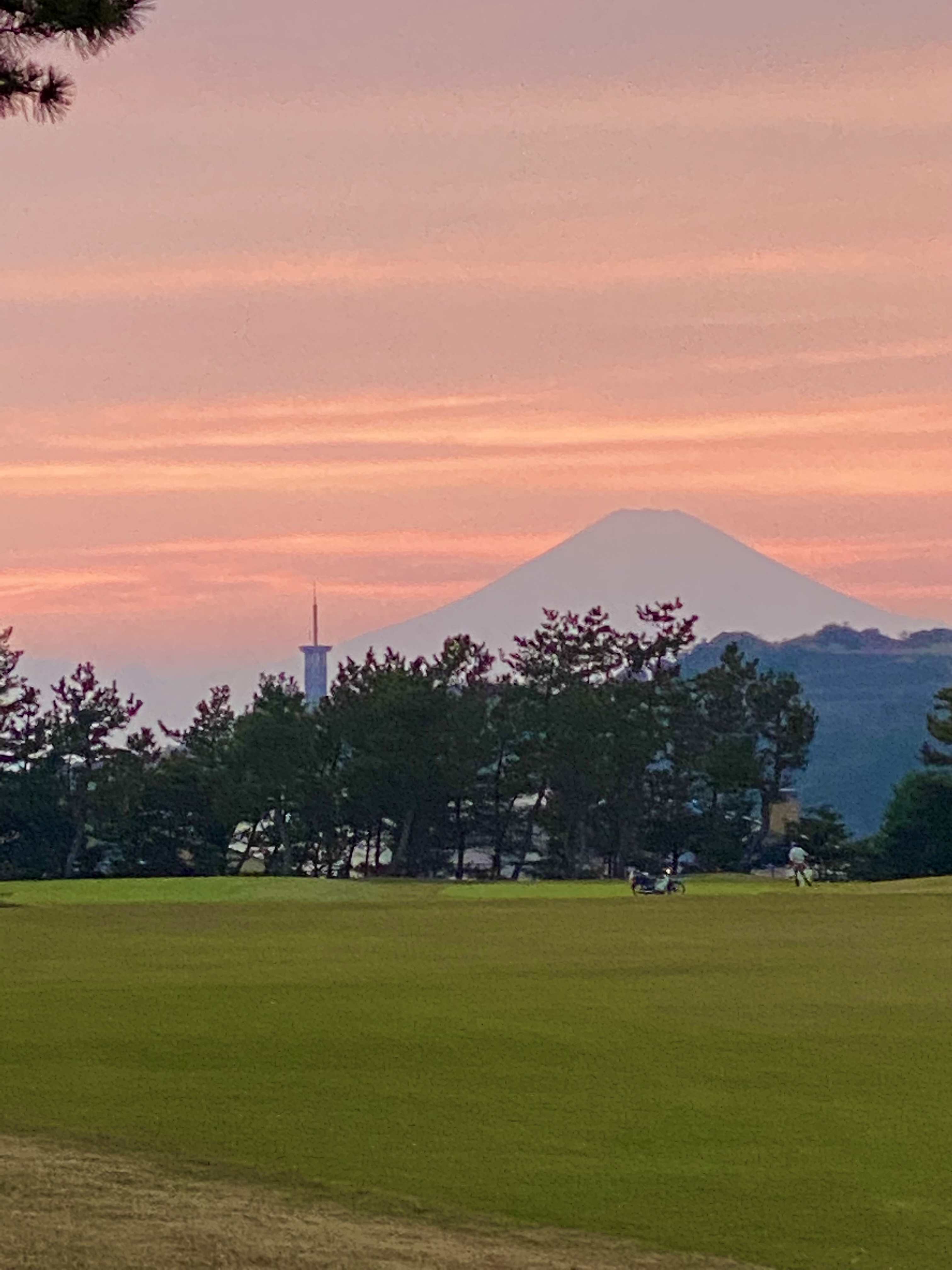今日は19時まで！