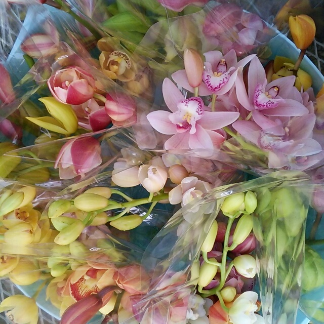 私はいつだって正統派。シンメトリーに生けられる同種２本の『シンビジュームの花束』