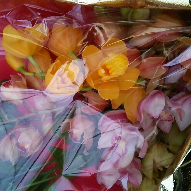 ドキドキバレンタイン♡大きな花束を持って幸せにしたいプロポーズ！！！